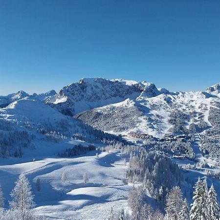 Ferienwohnungen Themessl Kirchbach  Esterno foto