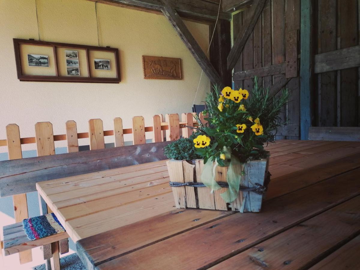 Ferienwohnungen Themessl Kirchbach  Esterno foto