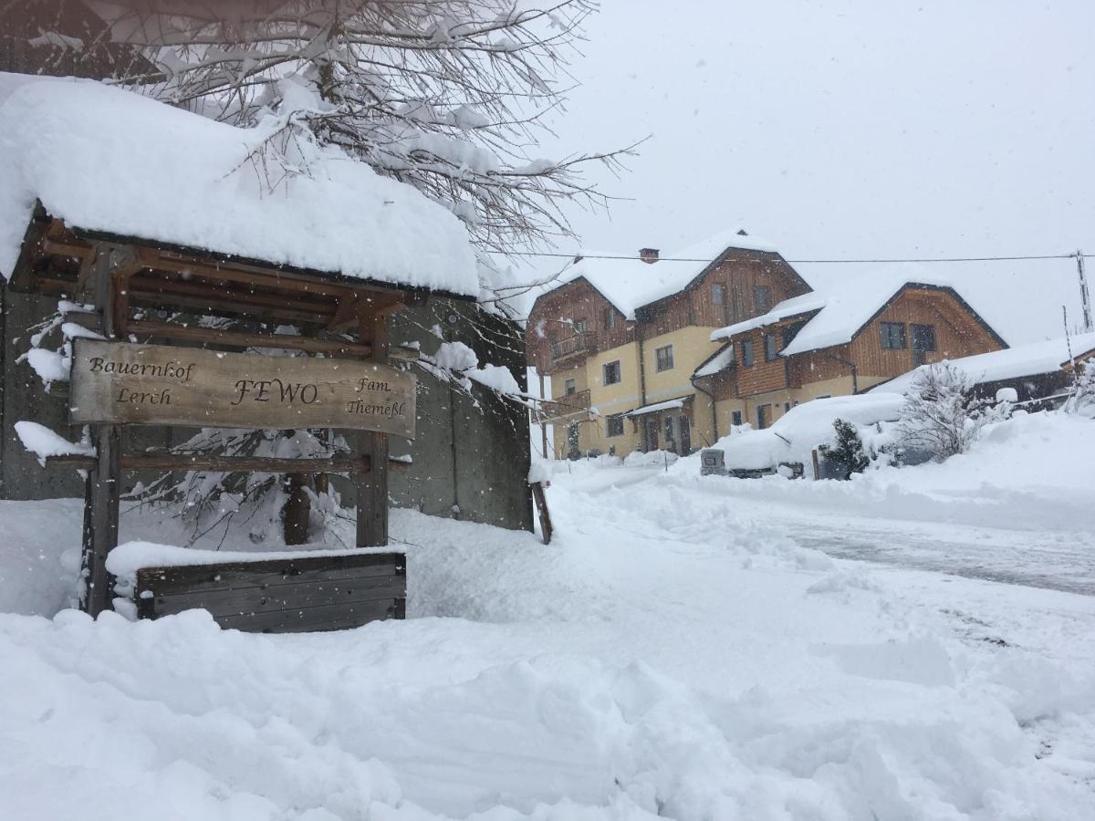 Ferienwohnungen Themessl Kirchbach  Esterno foto