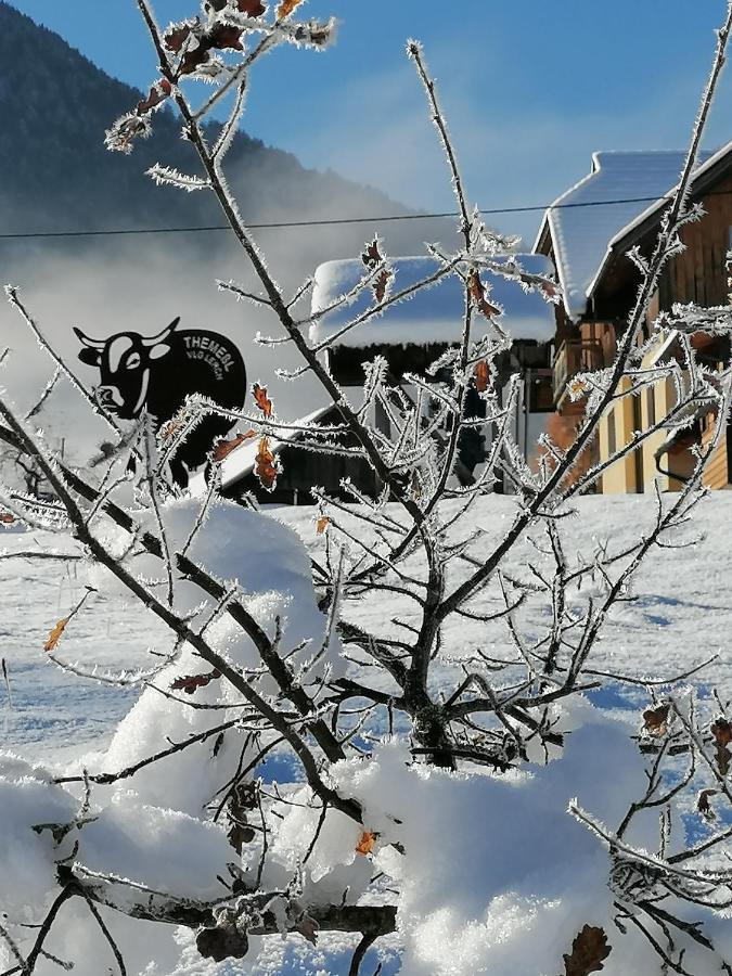 Ferienwohnungen Themessl Kirchbach  Esterno foto