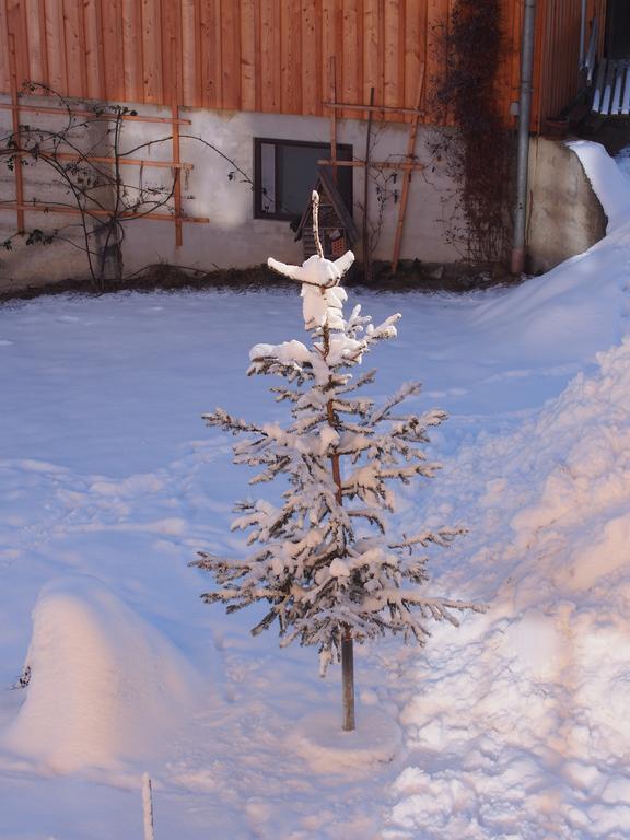 Ferienwohnungen Themessl Kirchbach  Esterno foto