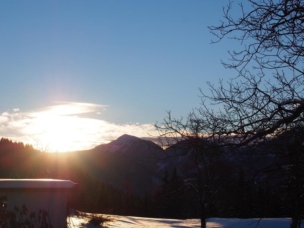 Ferienwohnungen Themessl Kirchbach  Esterno foto